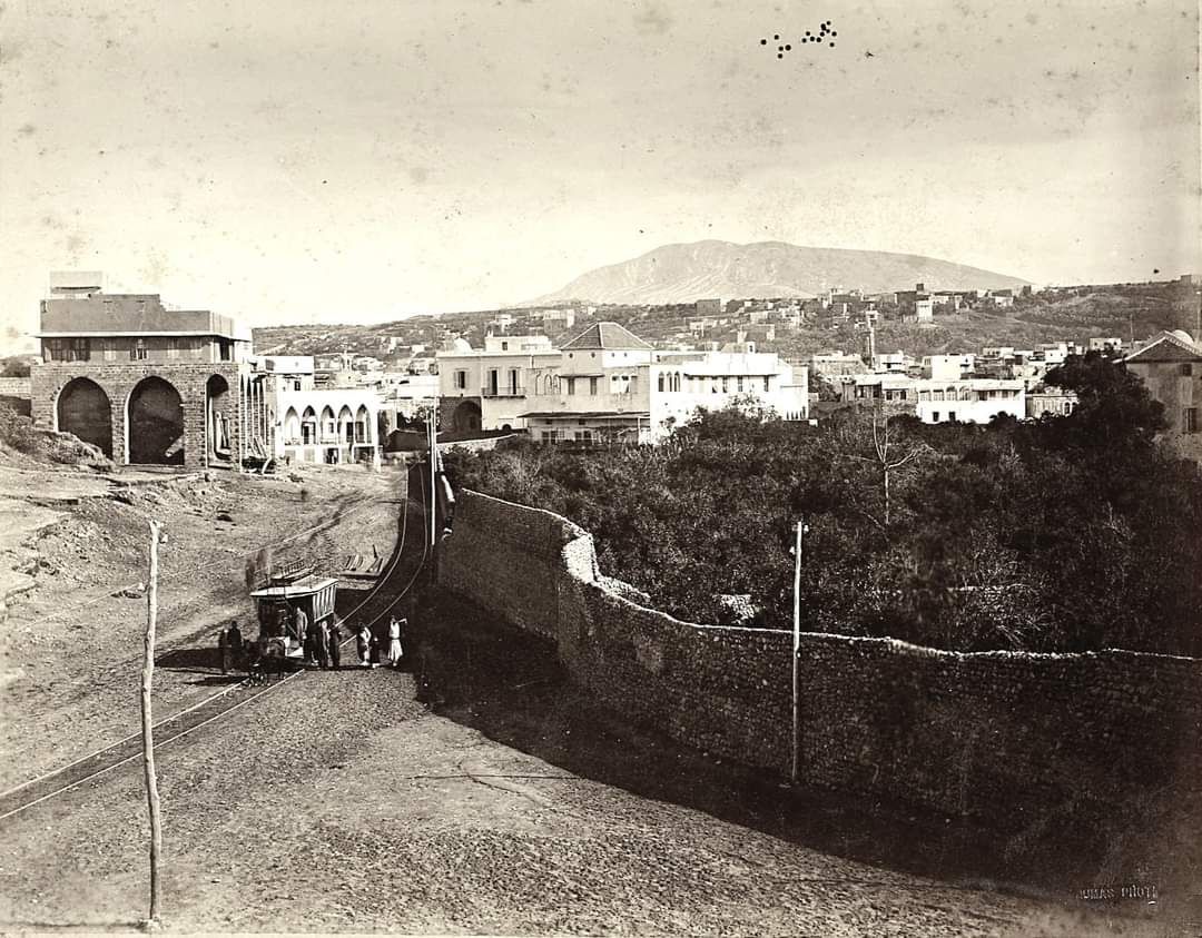 صورة نادرة